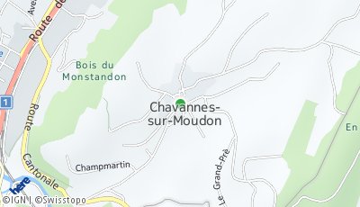 Standort Chavannes-sur-Moudon (VD)